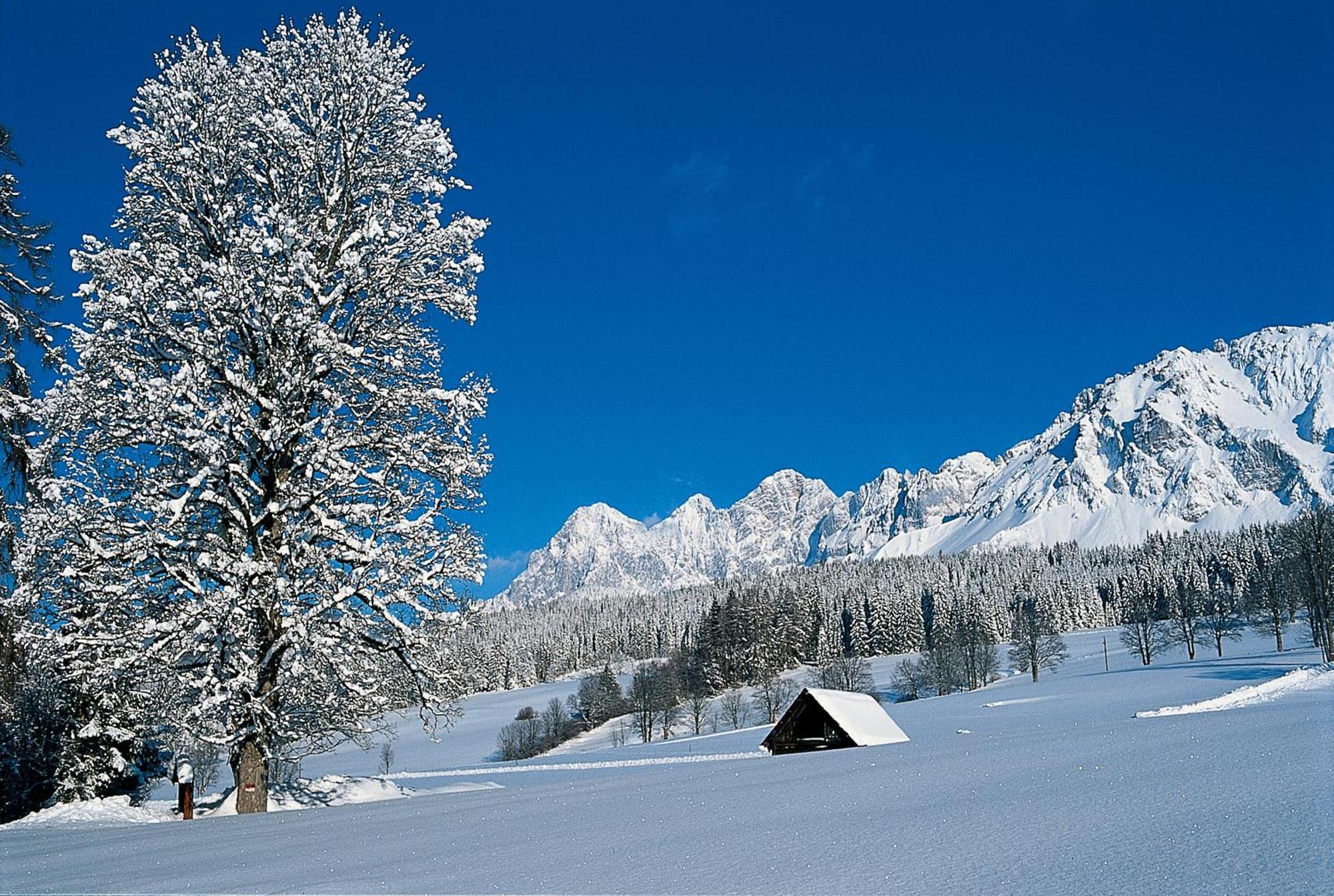Hotel Matschner Ramsau am Dachstein Exteriör bild